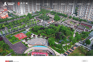 滕投集團(tuán) · 山東天行健發(fā)展有限公司