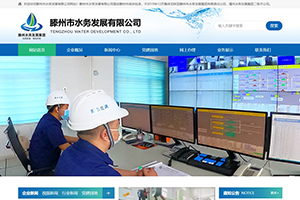 滕州市水務(wù)發(fā)展有限公司